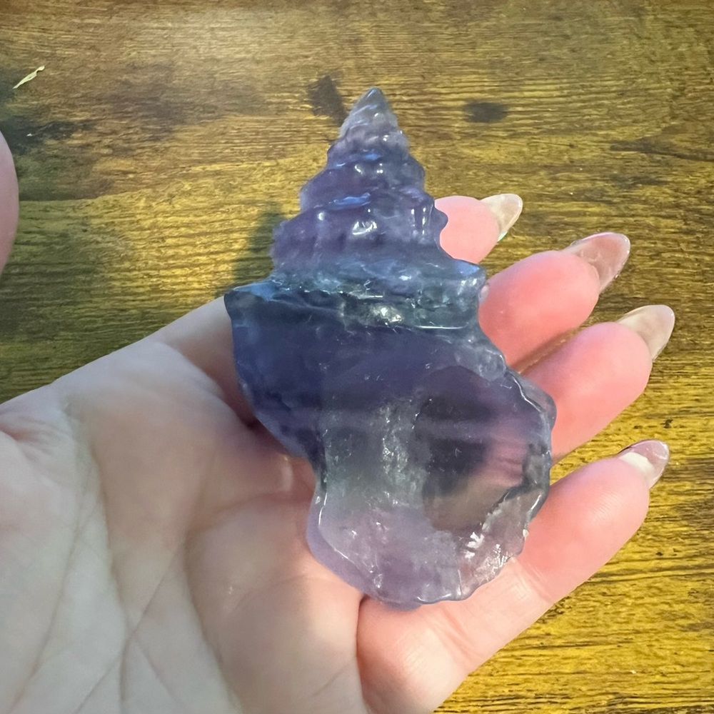 Fluorite Shell - Picture 4 of 4